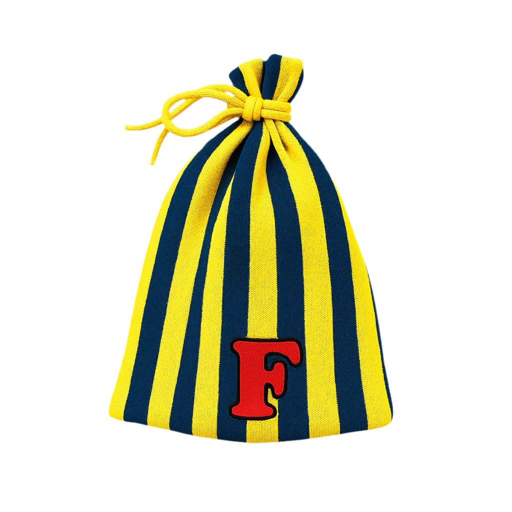 ITSFATSWAG Michigan Pinstripe Beanie
